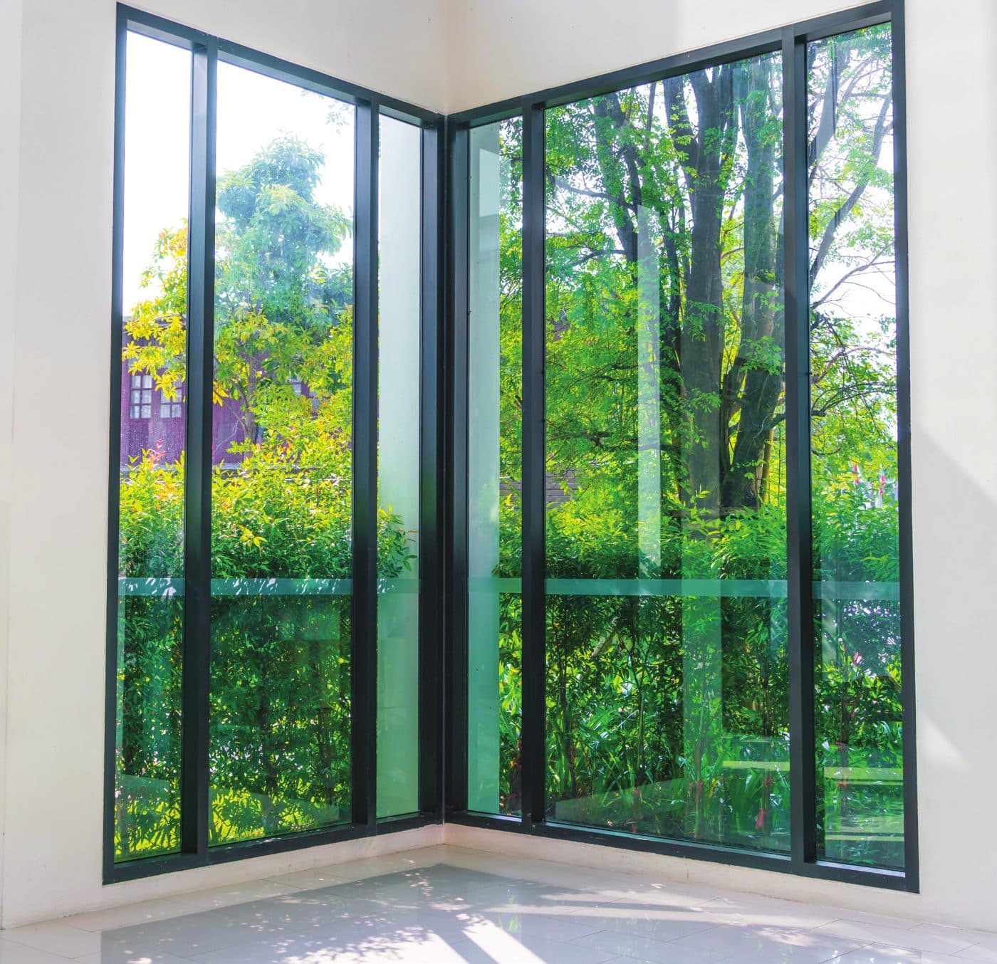Doors & Windows